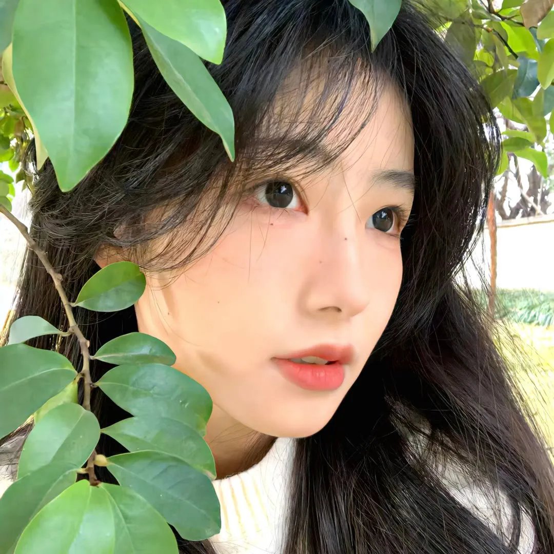 老虎队